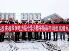 全球首次！构网型光储系统并网性能现场测试顺利完成