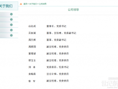 国网河北电力公司董事长调整