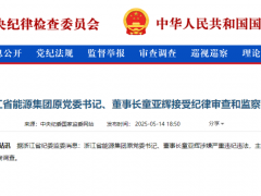 主动投案！又一能源领域“老虎”被查